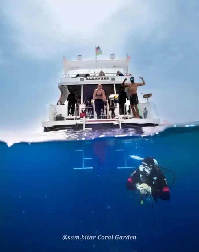 Dive from boat Boat Trip