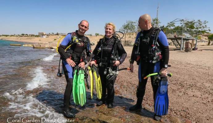 Best dive sites for diving in Aqaba