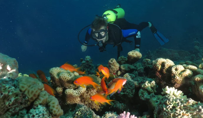 Shore diving in Aqaba Jordan
