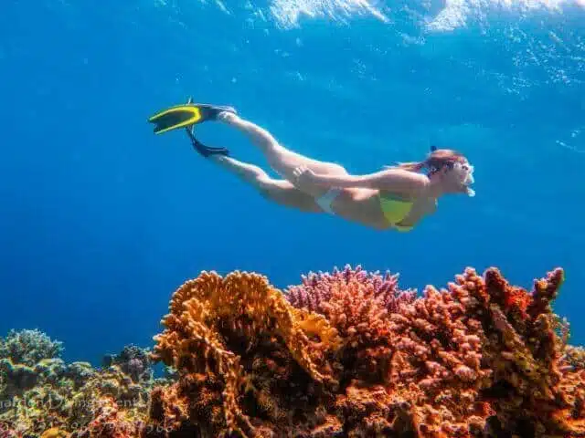 Snorkeling trip Aqaba Snorkeling trip