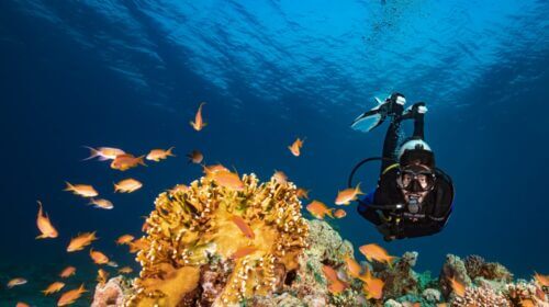 Diving in Jordan, facts about scuba diving