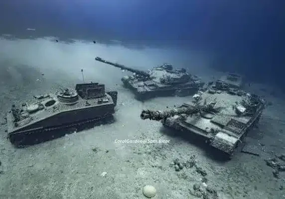 military museum, wreck site