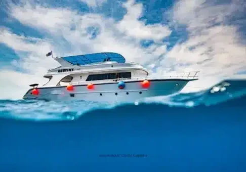 Private boat trip in aqaba Private boat trip