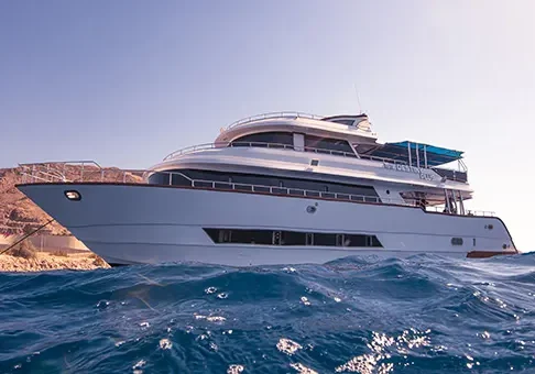 destiny plus aqaba ayla boat