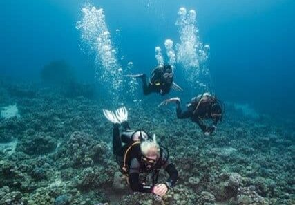diving in aqaba divers group from boat