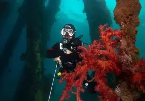 certified diver