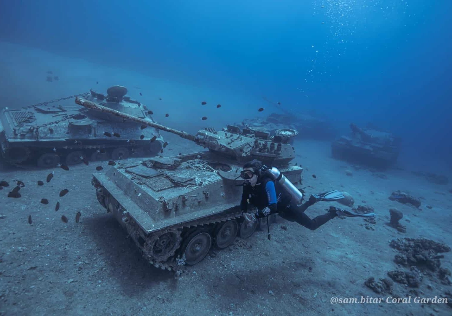 museam fun dive for certified diver