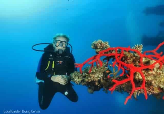ship wrack ceder pride aqaba Cedar Pride shipwreck dive site aqaba red sea, diving Aqaba