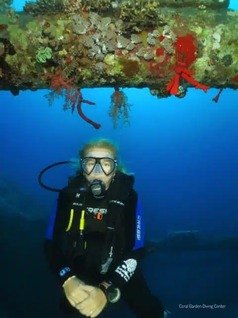 Cedar Pride shipwreck dive site aqaba red sea, diving Aqaba