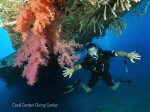 diver under airplane, Дайвинг в Иордании