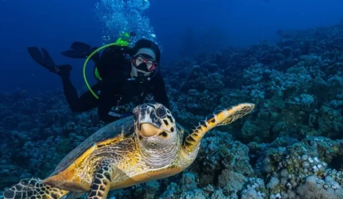 Wreck diving in Aqaba Jordan Red Sea