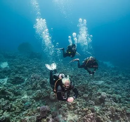 diving in aqaba divers group from boat