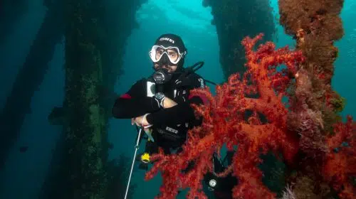 divers in the old port our diver instructor