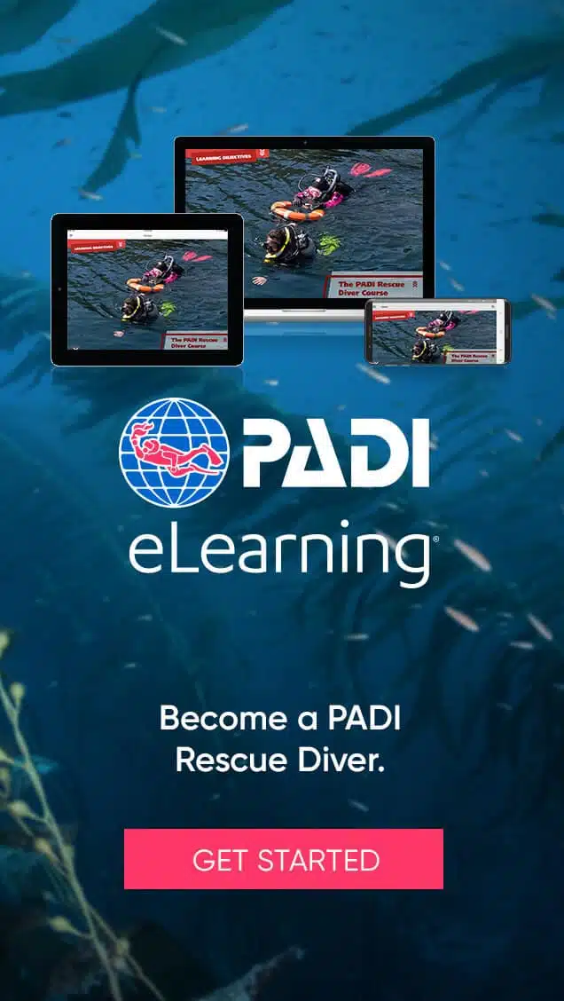 elearning rescue diver course aqaba