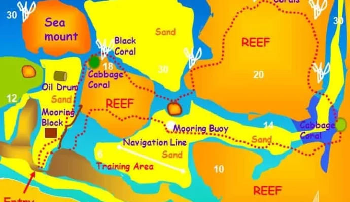 dive first bay south site for exciting adventures along the coast and experience the biggest variety of marine life on this dive site.