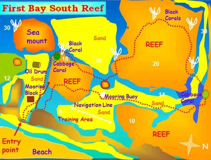 first bay south site 