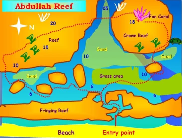 King Abdullah Reef Aqaba is one of the longest dives and a very popular dive.