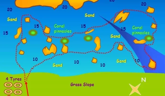 Coral reef dive site