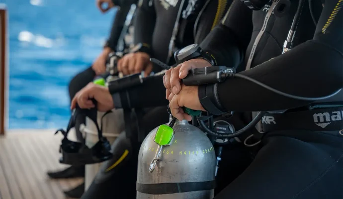 Best dive sites for beginners in Aqaba