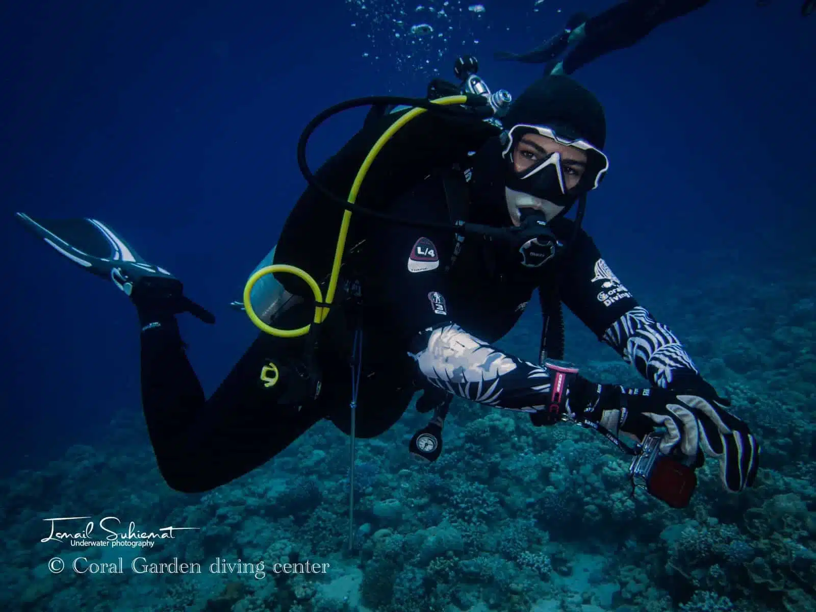 she dive certified girl diver