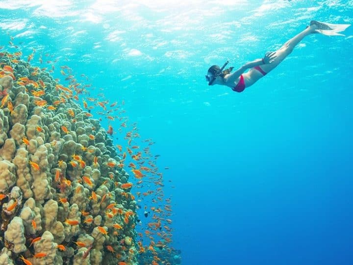 Snorkeling trip Aqaba, Jordan Coral Garden Diving Center