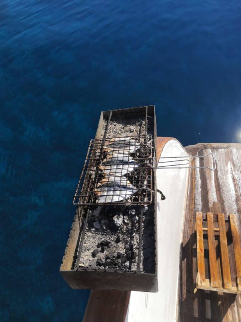 Snorkeling in Aqaba, Jordan Coral Garden Diving Center