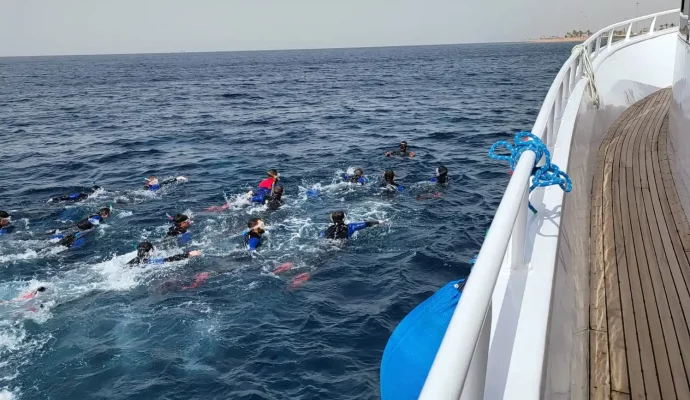 Diving in Aqaba Jordan Red Sea