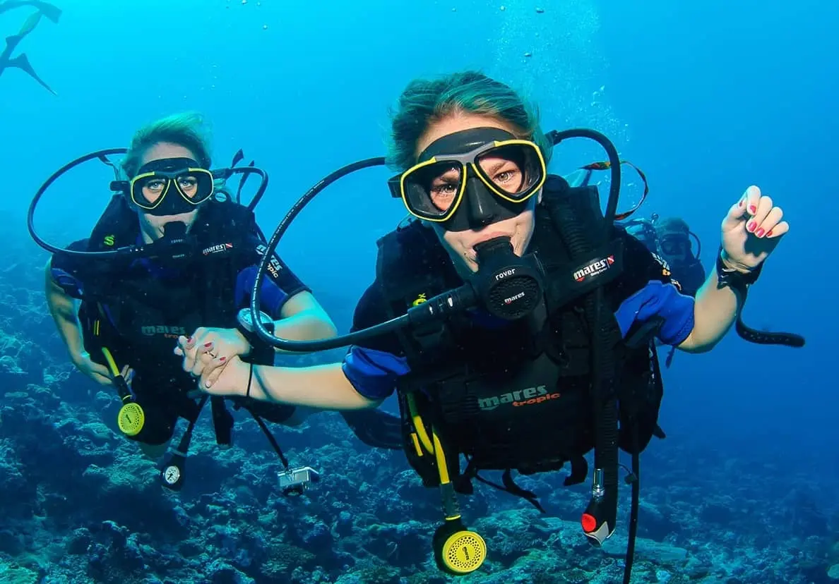 try-diving beginner divers